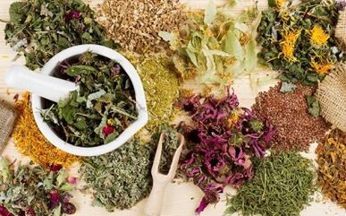 Folk medicines to treat varicosas