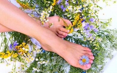 How to treat varicoozes on the legs