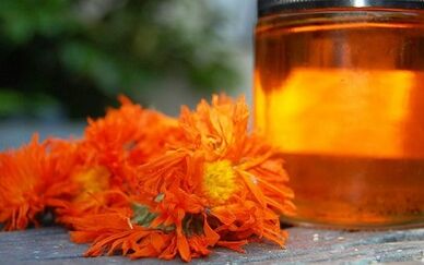 decoctions to treat varicosas